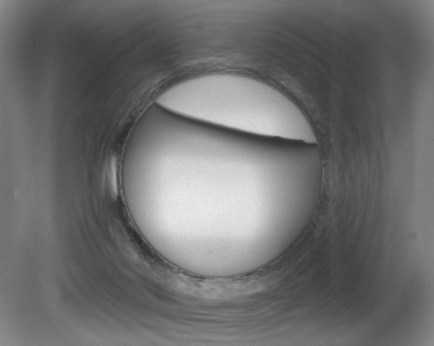 X0000080700022200612150848