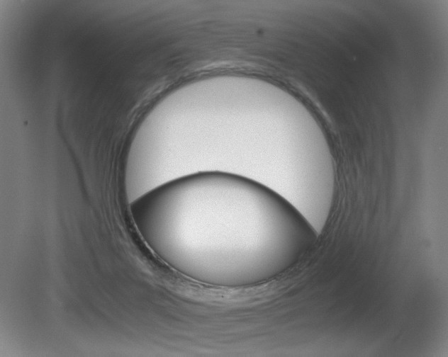 X0000080700023200612150848