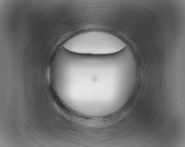 X0000080700024200612150848