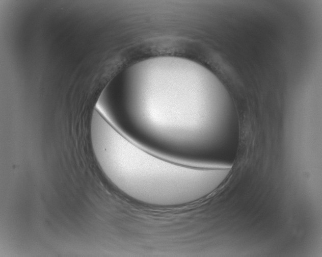X0000080700025200612150848