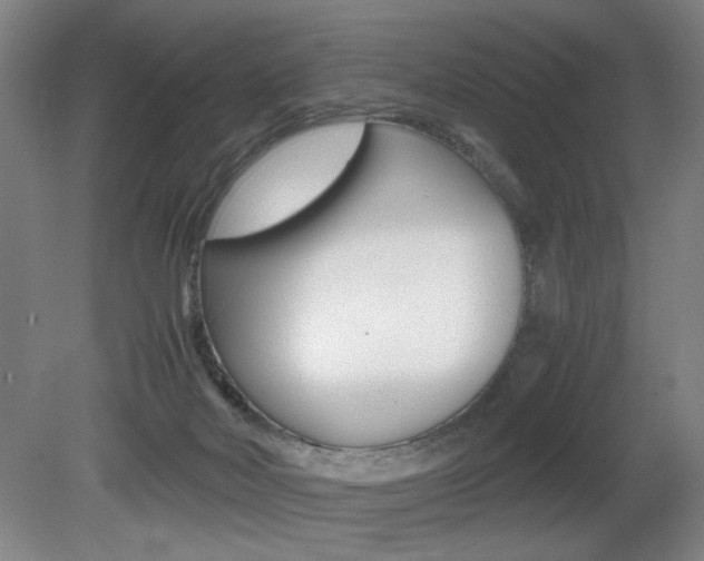 X0000080700026200612150848