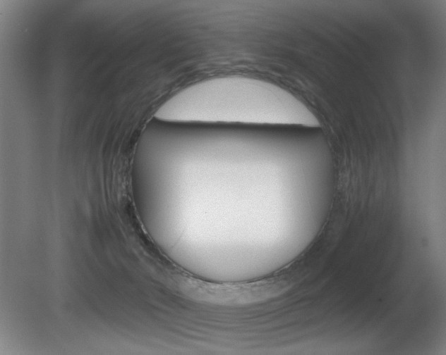 X0000080700030200612150848