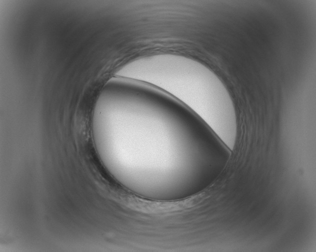 X0000080700031200612150848