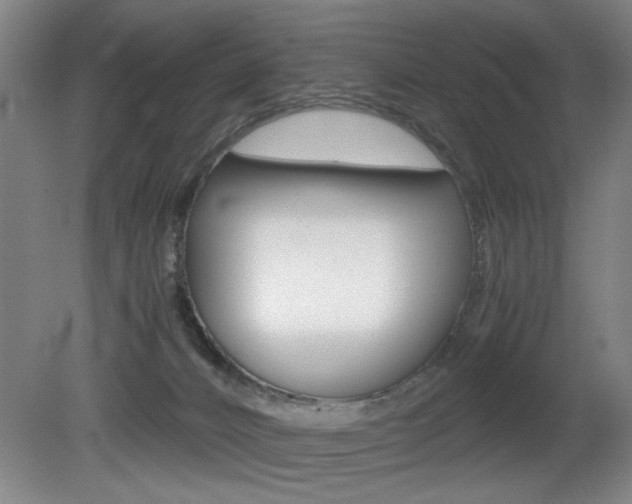 X0000080700032200612150848