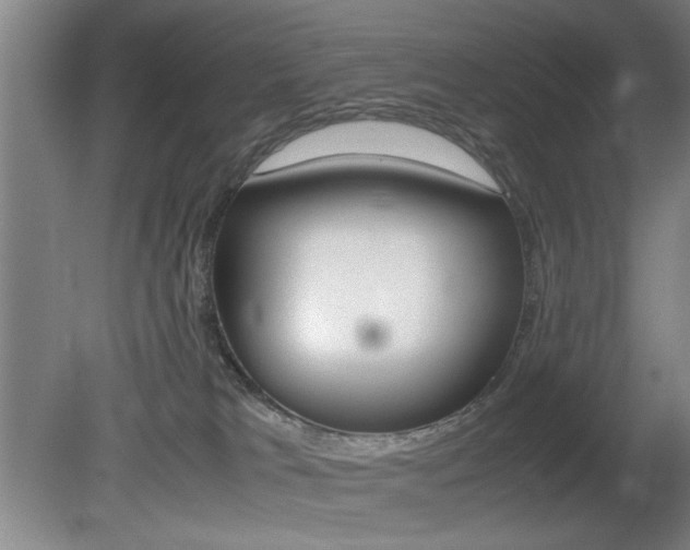 X0000080700037200612150848