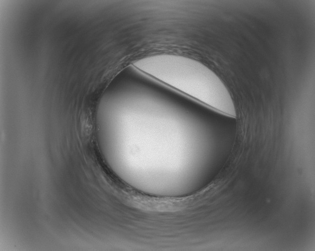 X0000080700040200612150848
