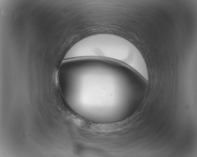 X0000080700041200612150848