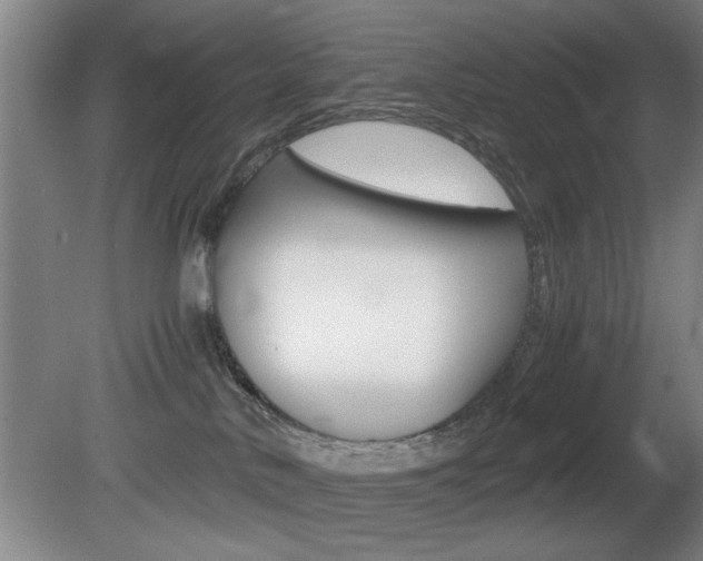 X0000080700042200612150848