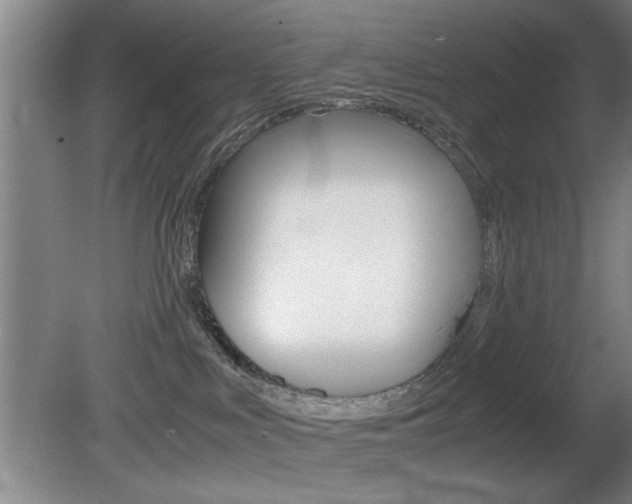 X0000080700043200612150848