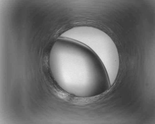 X0000080700045200612150848