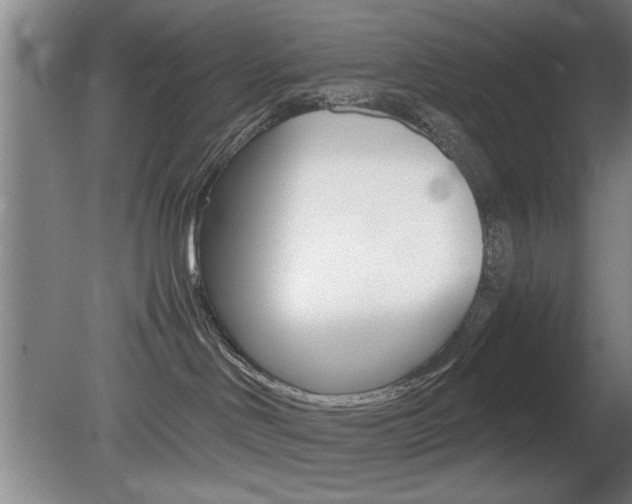 X0000080700046200612150848