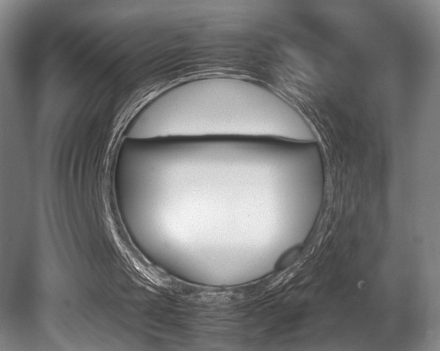 X0000080700049200612150847