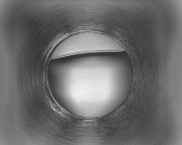X0000080700050200612150847
