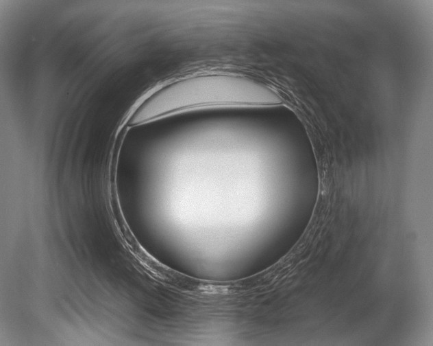 X0000080700052200612150847