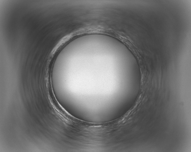 X0000080700054200612150847
