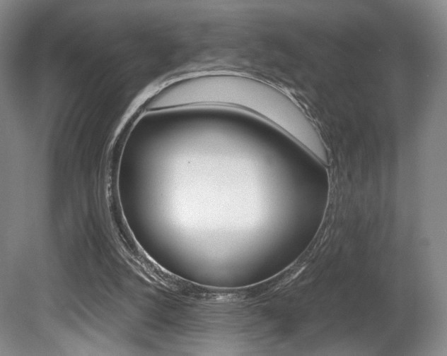 X0000080700056200612150847