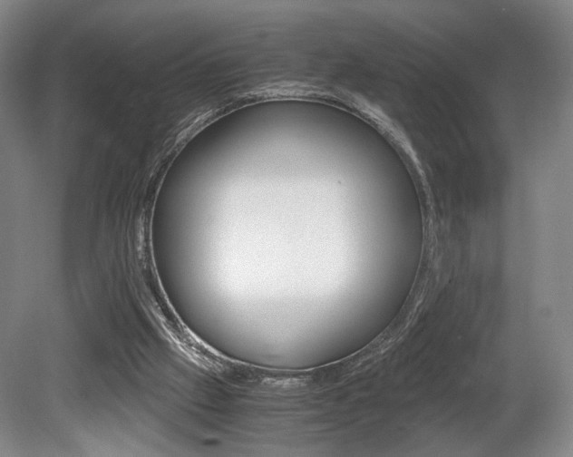 X0000080700057200612150847