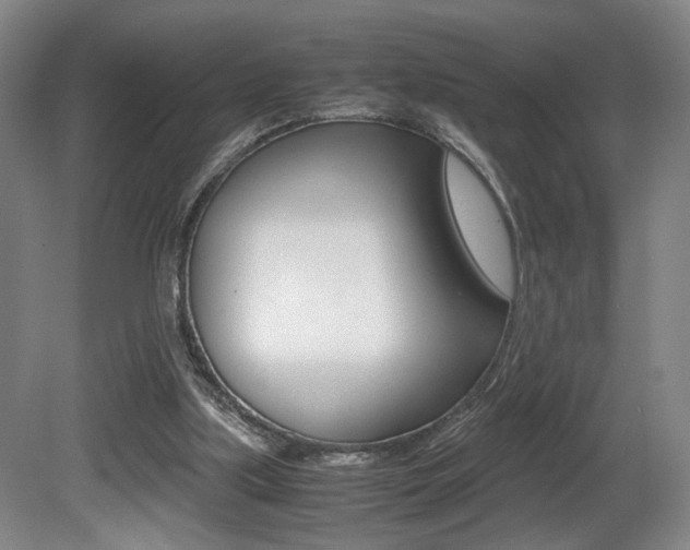 X0000080700059200612150847