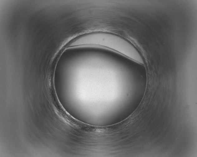 X0000080700060200612150847