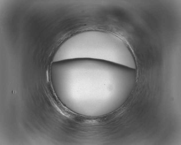 X0000080700061200612150847