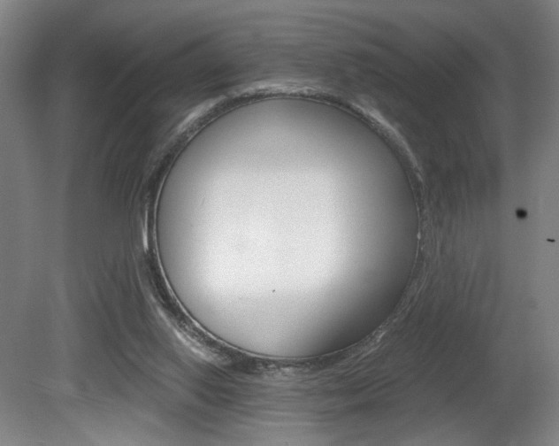 X0000080700062200612150847