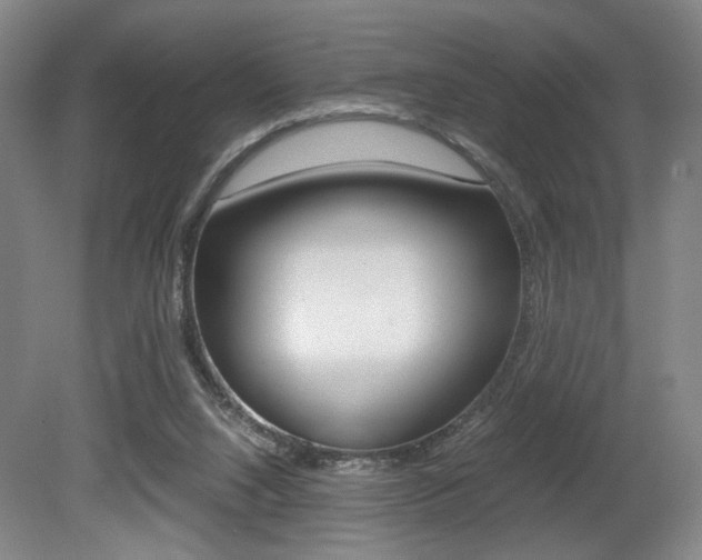 X0000080700064200612150847