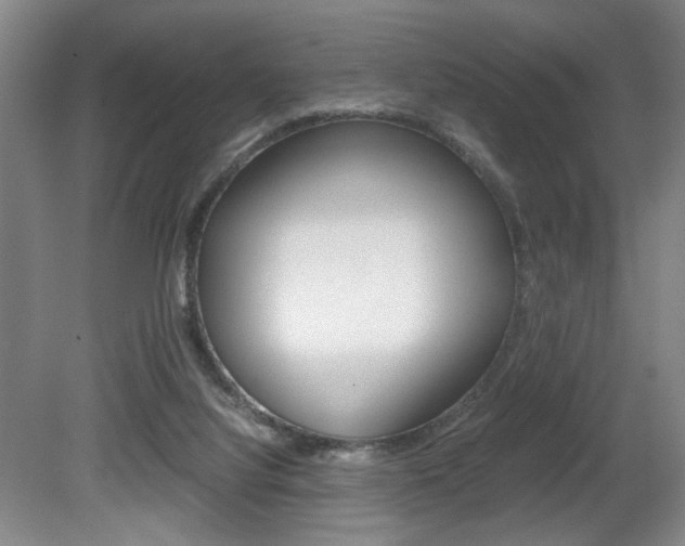 X0000080700068200612150847