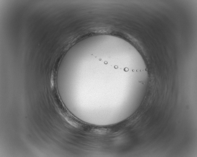 X0000080700069200612150847