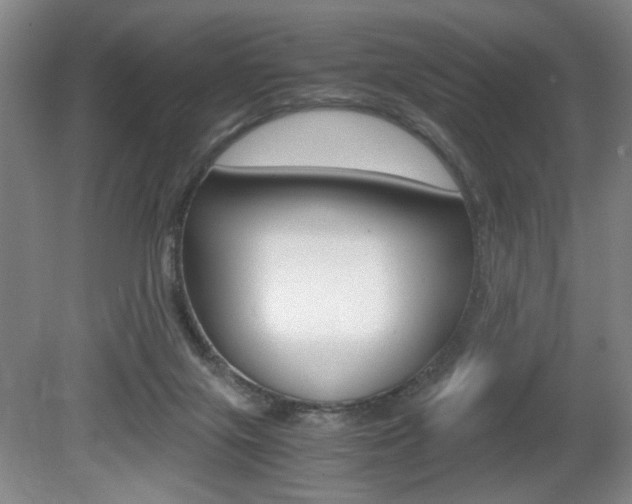 X0000080700071200612150847
