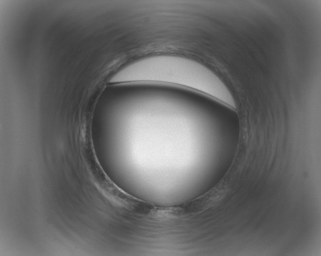 X0000080700072200612150847