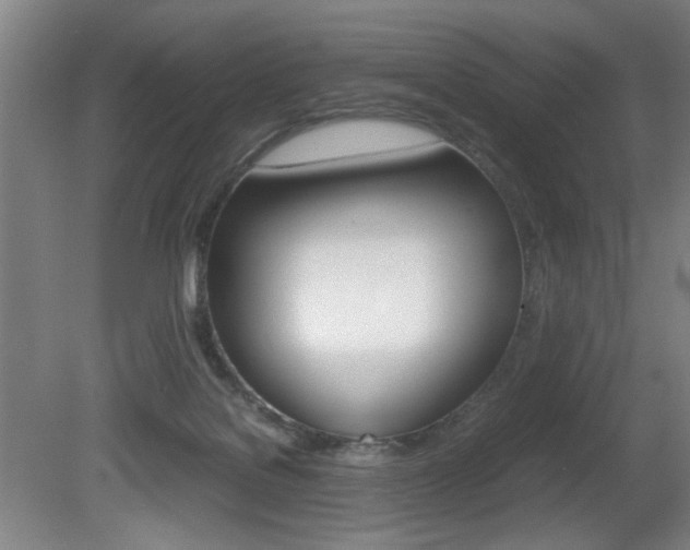 X0000080700076200612150847