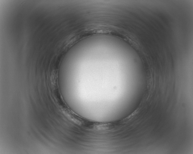X0000080700078200612150847