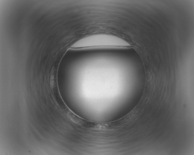 X0000080700080200612150847