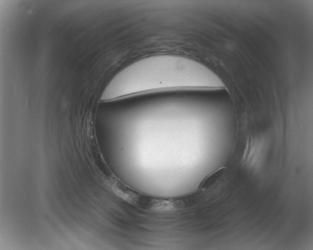 X0000080700083200612150848