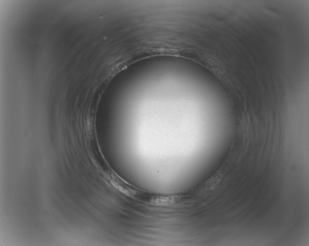 X0000080700084200612150848