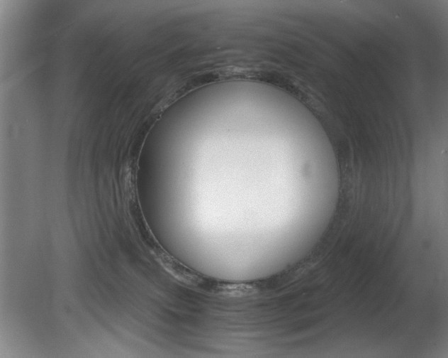 X0000080700087200612150848