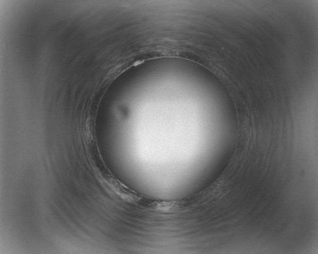 X0000080700088200612150848