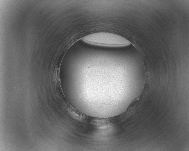 X0000080700093200612150848