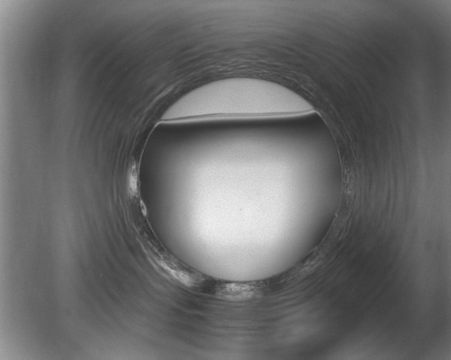 X0000080700095200612150848