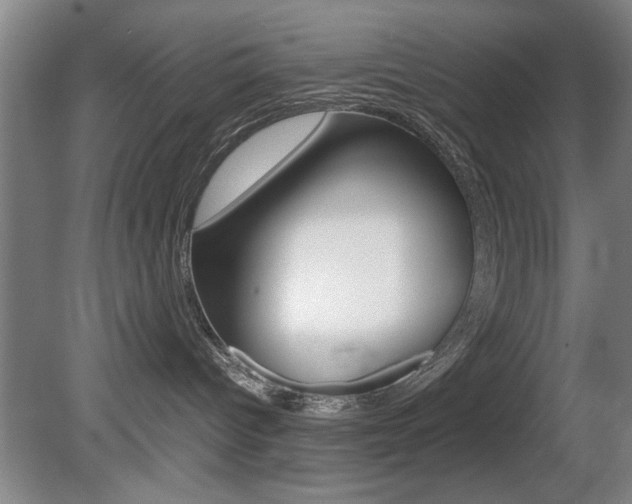 X0000080700096200612150848