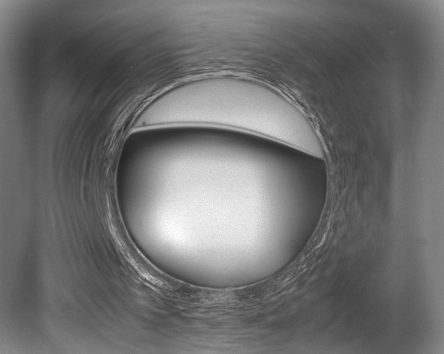 X0000080700097200612150847