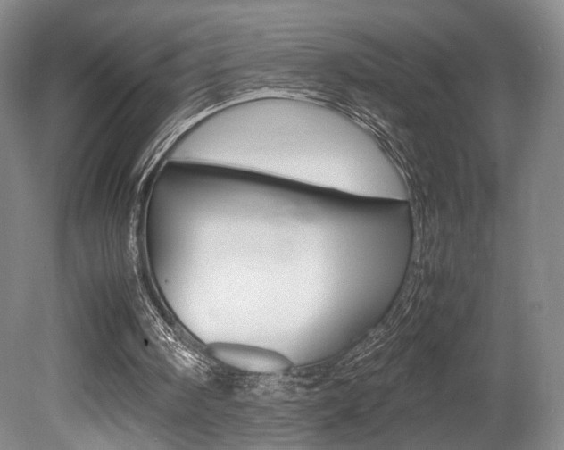 X0000080700098200612150847