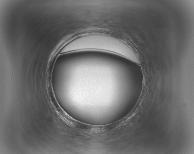 X0000080700101200612150847