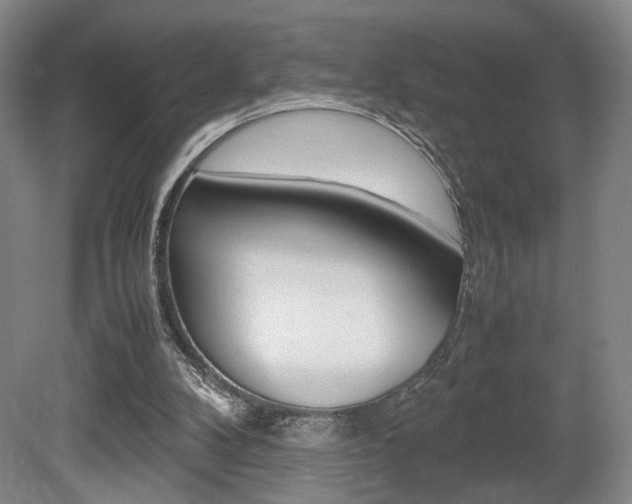 X0000080700104200612150847