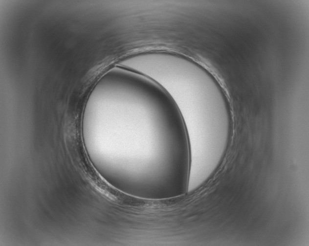 X0000080700105200612150847