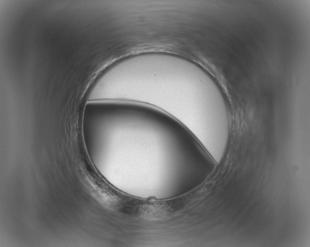 X0000080700107200612150847