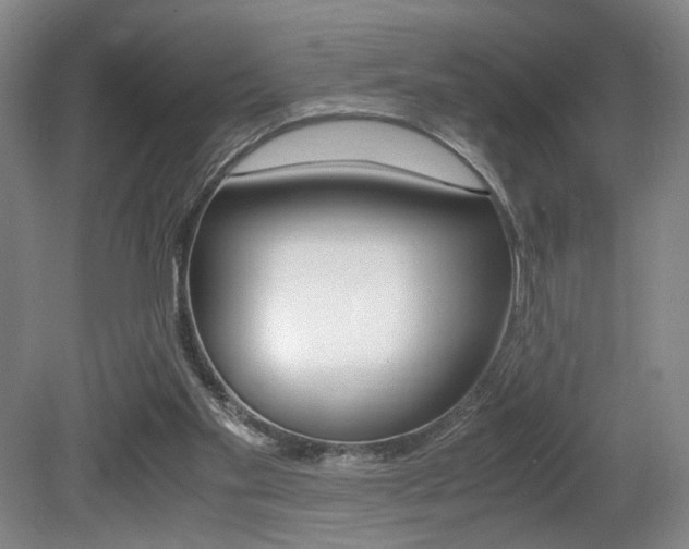 X0000080700109200612150847