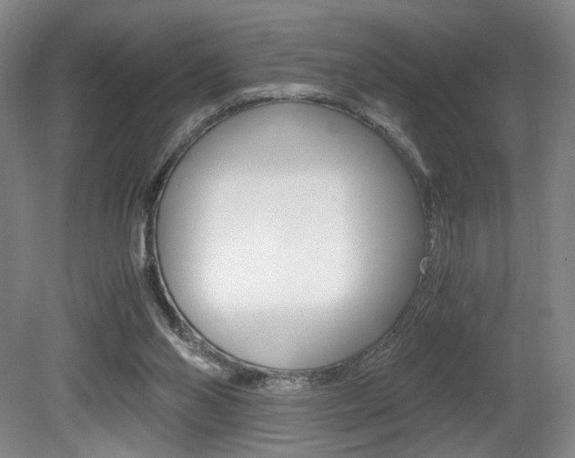 X0000080700110200612150847
