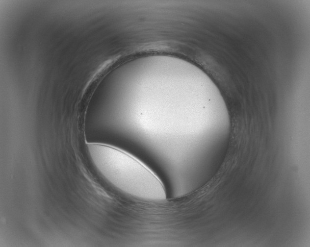 X0000080700112200612150847