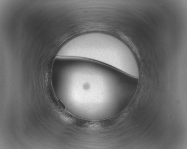 X0000080700113200612150847